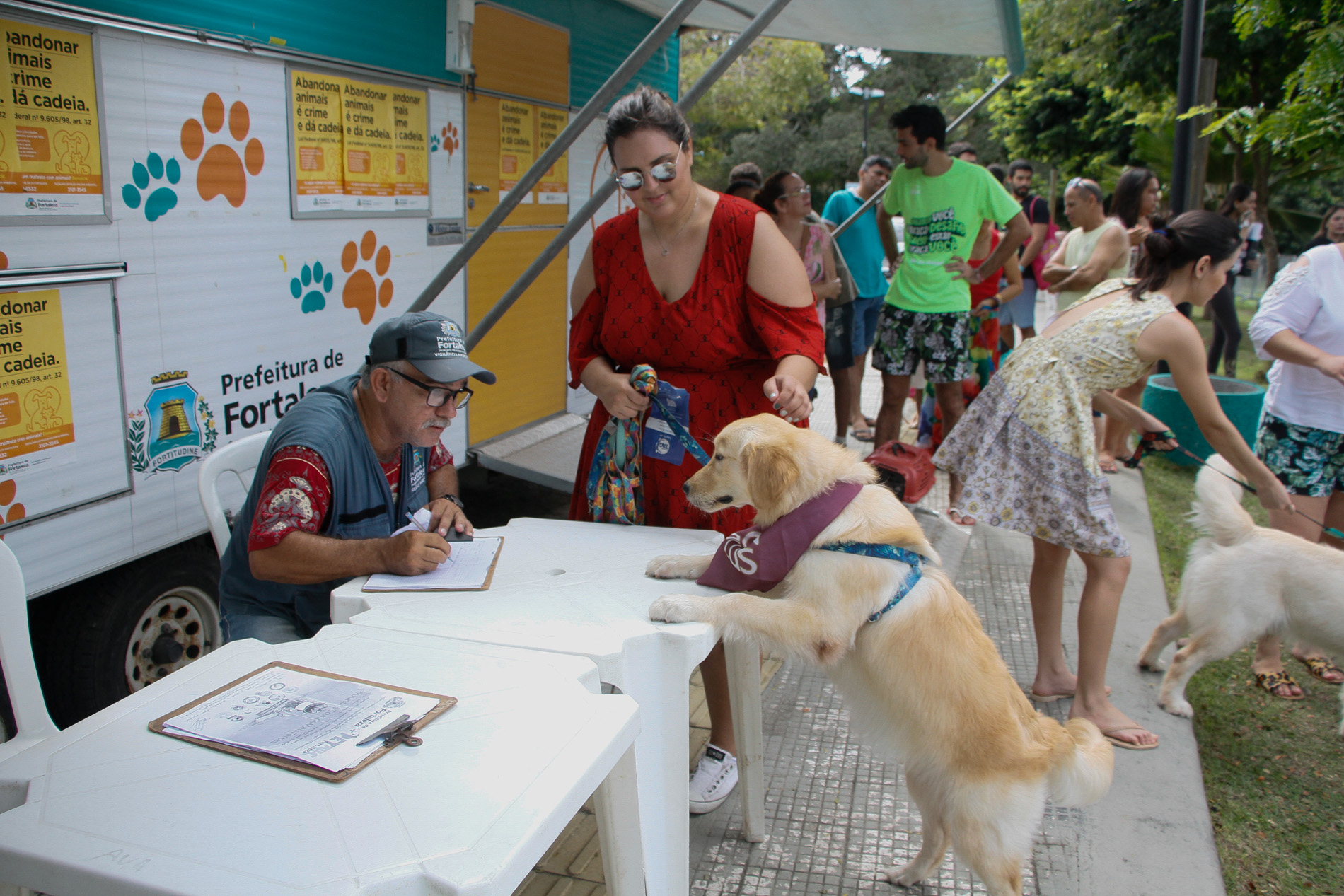 cachorro coloca as duas patas dianteiras numa mesa